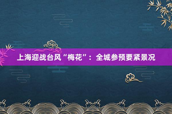 上海迎战台风“梅花”：全城参预要紧景况